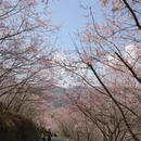 龙岩旅游 缩略图 1