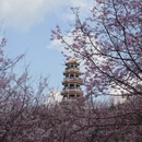 龙岩旅游 缩略图 7