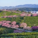 福州旅游 缩略图 1