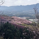 龙岩旅游 缩略图 5
