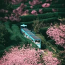 福州旅游 缩略图 1