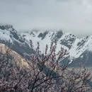 林芝旅游 缩略图 6