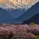 林芝旅游 缩略图 1