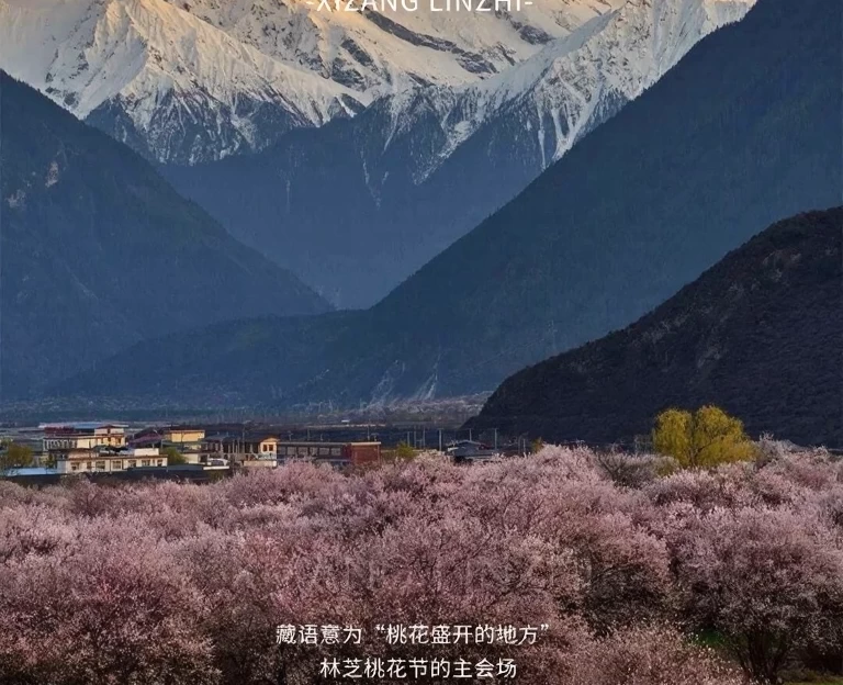林芝旅游 1