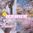 林芝旅游 缩略图 4