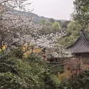 杭州旅游 缩略图 6