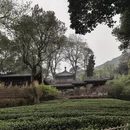 杭州旅游 缩略图 5