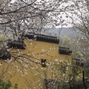 杭州旅游 缩略图 7