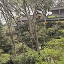 杭州旅游 缩略图 8