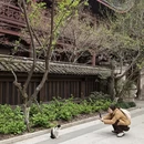 杭州旅游 缩略图 9