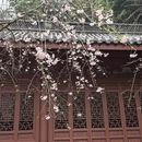 杭州旅游 缩略图 14