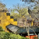 杭州旅游 缩略图 2