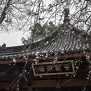 杭州旅游 缩略图 16