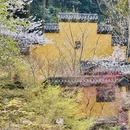 杭州旅游 缩略图 4