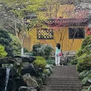 杭州旅游 缩略图 8