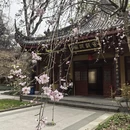 杭州旅游 缩略图 15