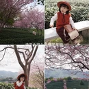 漳州旅游 缩略图 7