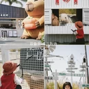 漳州旅游 缩略图 8