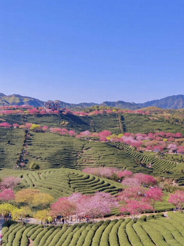厦门旅游