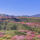 厦门旅游 缩略图 1