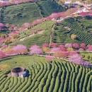 厦门旅游 缩略图 2