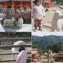 漳州旅游 缩略图 4