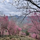 大理州旅游 缩略图 3