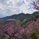 大理州旅游 缩略图 7