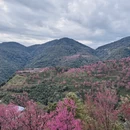 大理州旅游 缩略图 11