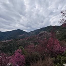 大理州旅游 缩略图 10