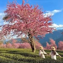大理州旅游 缩略图 6