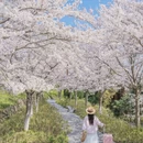 成都旅游 缩略图 1