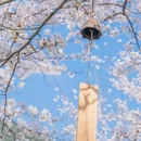 成都旅游 缩略图 12