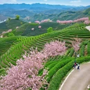 杭州旅游 缩略图 1