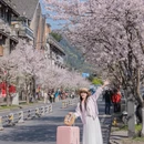 成都旅游 缩略图 5