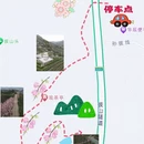 杭州旅游 缩略图 5