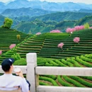 杭州旅游 缩略图 8