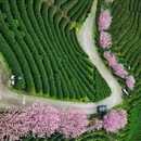 杭州旅游 缩略图 4