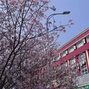 福州旅游 缩略图 4