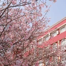 福州旅游 缩略图 1