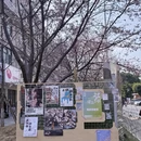 福州旅游 缩略图 8