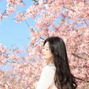 福州旅游 缩略图 14