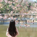 福州旅游 缩略图 16