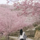 三明旅游 缩略图 2