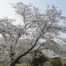 南京旅游 缩略图 2