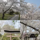 南京旅游 缩略图 1