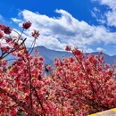 大理州旅游 缩略图 2