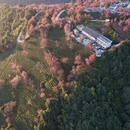 大理州旅游 缩略图 5