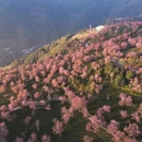 大理州旅游 缩略图 7