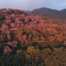 大理州旅游 缩略图 4